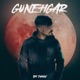 Gunehgar Single