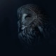 Strix Nebulosa Single
