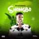 shongbo Single