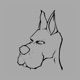 Scooby Single