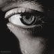 Insight Single