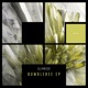 Bumblebee Single