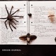 Dream Journal Volume One EP