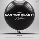 Can You Hear It Now Single