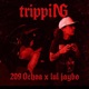 TrippiNG feat Lul Jaybo Single