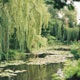 Willow Tree EP