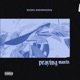 Praying Mantis Single