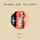Where Are You Now Extended Single