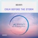 Calm Before the Storm Extended Mix Single