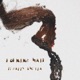 burning hair Single