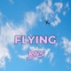 Flying Single