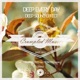 Deep Every Day Remixes EP