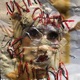 Carta de Miedo Single