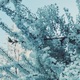 Spring will come late this year EP