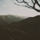 dusk Single