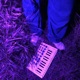 BOSSA NOVA Single