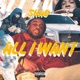 All I Want Single