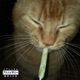 No Limit Single