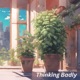 Thinking Badly Single