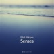 Senses Single