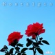 Nostalgia Single