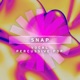 Snap Vocal Percussive Pop
