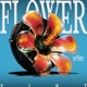 Flower Single