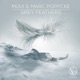 Grey Feathers Single