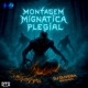 Montagem Mígnatíca Plegíal Single