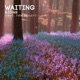 Waiting feat Tom Bailey Radio Edit Single