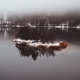 Reflected