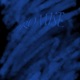 Promise Single