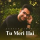 Tu Meri Hai Single