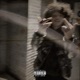 Distractions Single