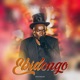 Ebidongo Single