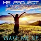 Wake Me Up Single
