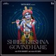 Shree Krishna Govind Hare Sonic Awakening Single