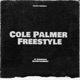Cole Palmer Freestyle Single