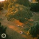 Shadows At Sunset Single