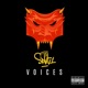 Voices Single