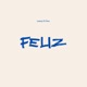 Feliz Single