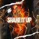 Shake It Up Single