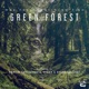 Green Forest 2019 Single