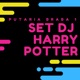 Set Dj Harry Potter Putaria Braba 1 feat MC Duartt Mc Maromba Louco de Refri Bartz Mc Danny Morais Mc Ronny Single
