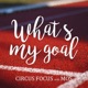 What s My Goal feat MOS Single
