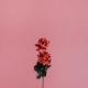 I Luv Hw U c Single