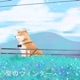 夏のウィンター