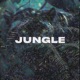 Jungle feat Malcuth Single