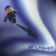 Flashes Single