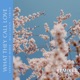 What They Call Love Remixes Pt 1 Single